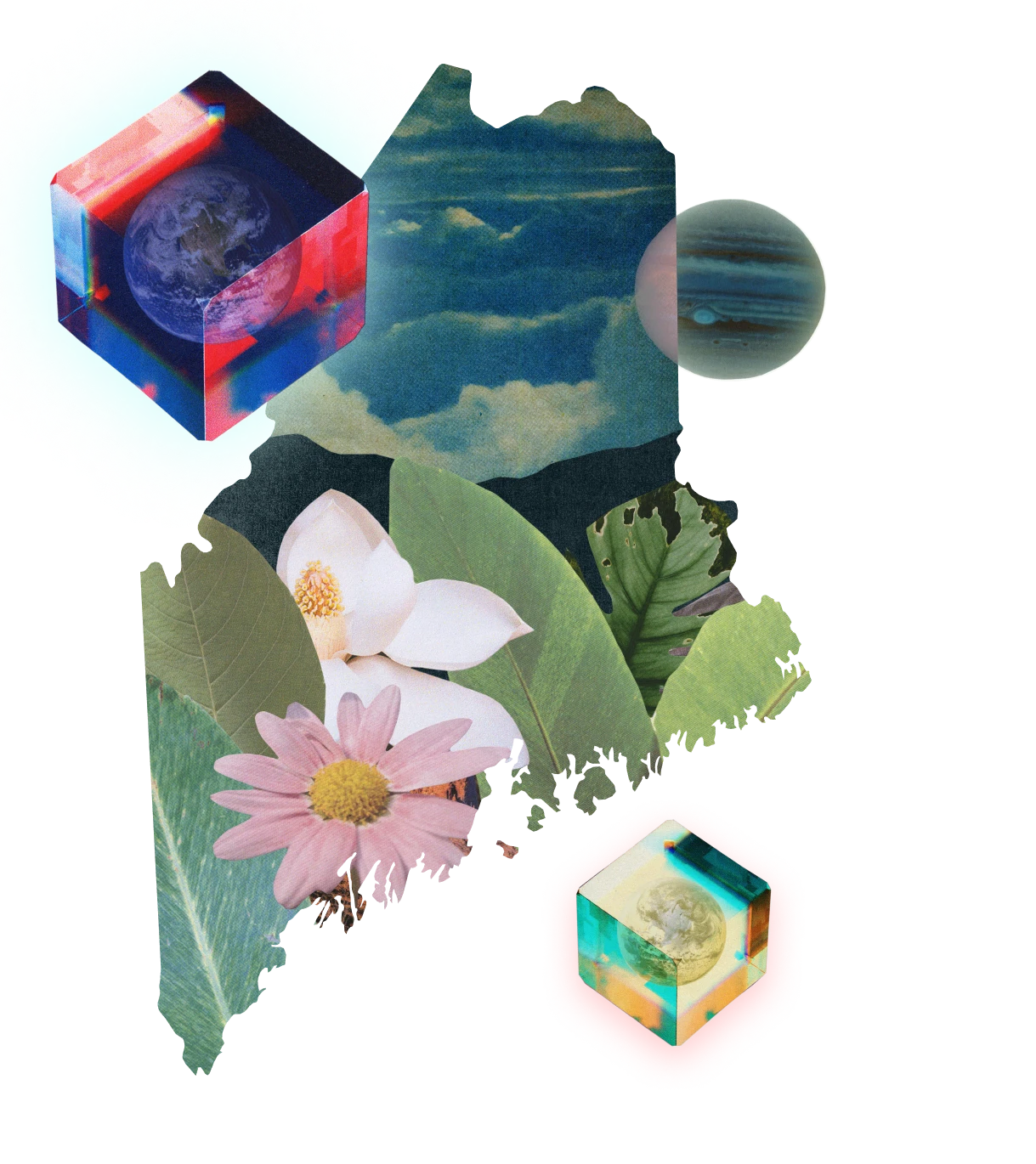 a collage of environmental images