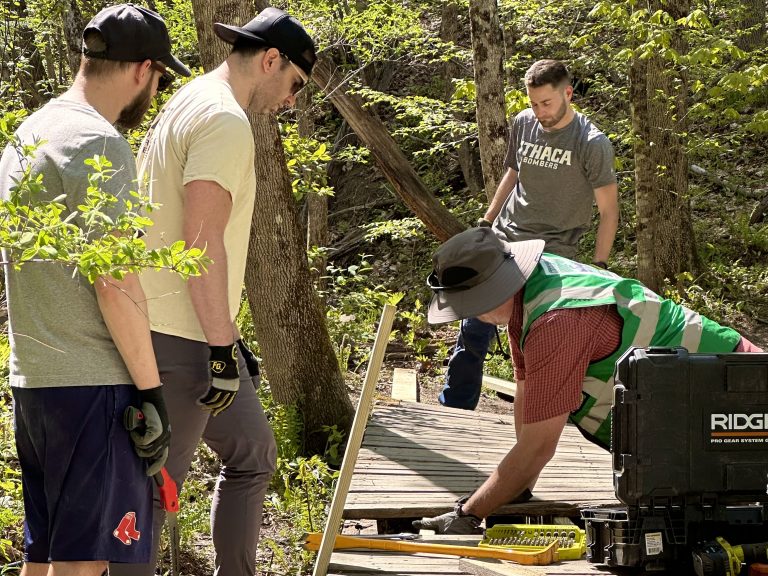Four people building a wooden walkway in a forested area.