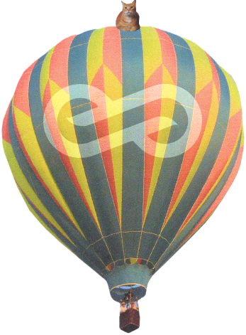 a hot air balloon