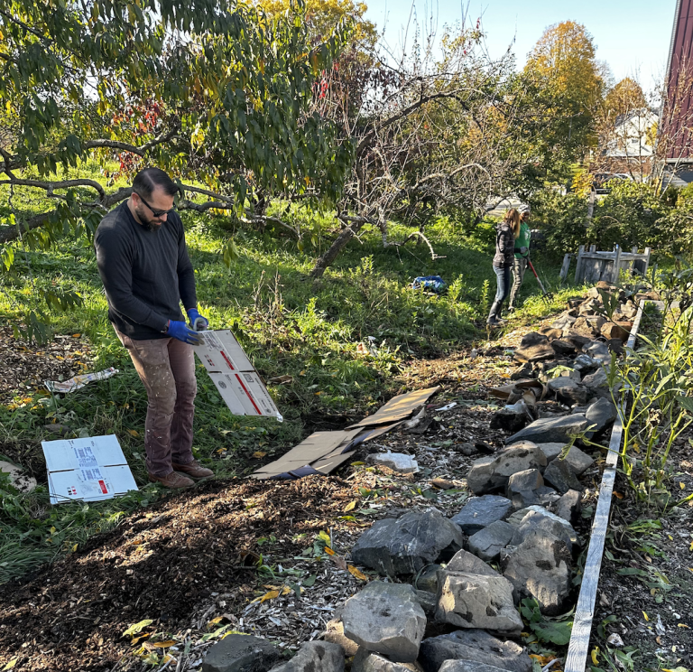 Two people gardening, one arranging cardboard on the ground.